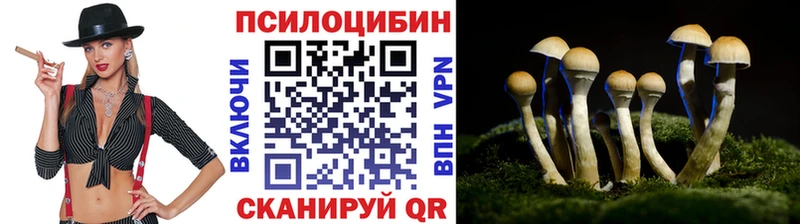 наркота  Партизанск  Псилоцибиновые грибы GOLDEN TEACHER 