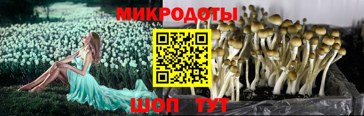 Партизанск  Псилоцибиновые грибы ЛСД  Вход с VPN 