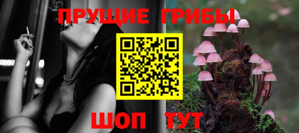 Псилоцибиновые грибы Cubensis Партизанск